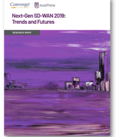 SD-WAN report 2019 Cover Image