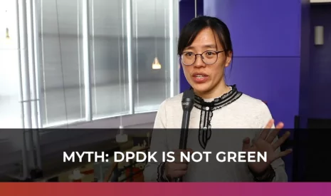 DPDK is not green_cover-myth04